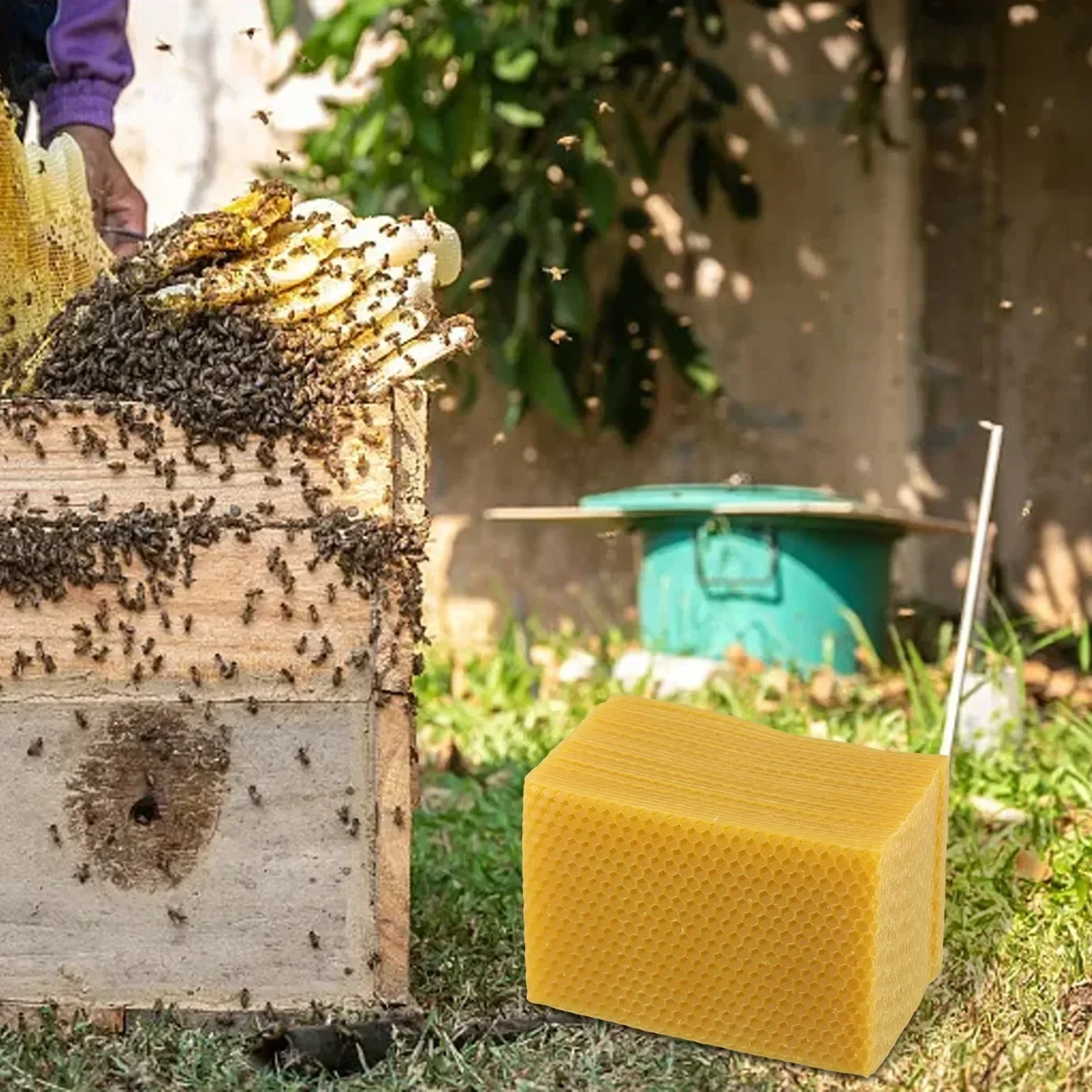 Perlengkapan Sarang Lebah Alas - Beeswax Sheet Roll ulasan dan harga