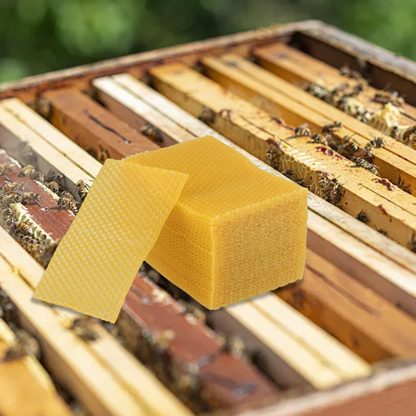 Lembaran Lilin Lebah 5.24 X 3. - Beeswax Sheet Roll ulasan dan harga